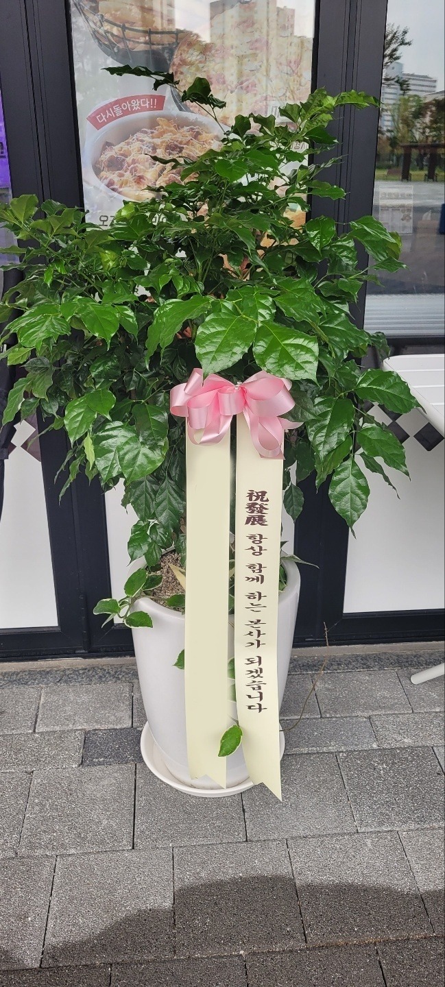 ����ȭ�� �캸��