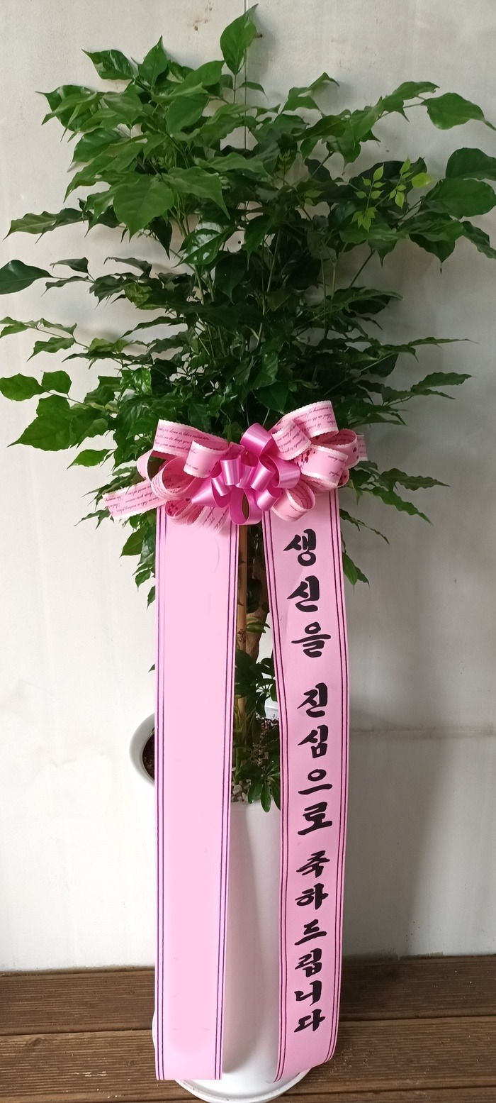 ����ȭ�� �캸��