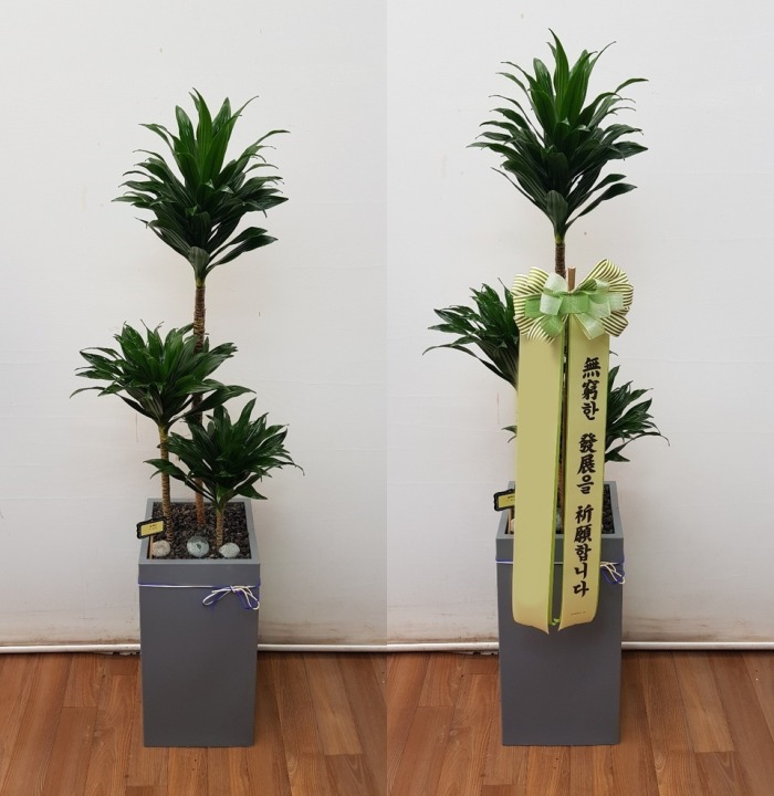 ����ȭ�� ����Ÿ