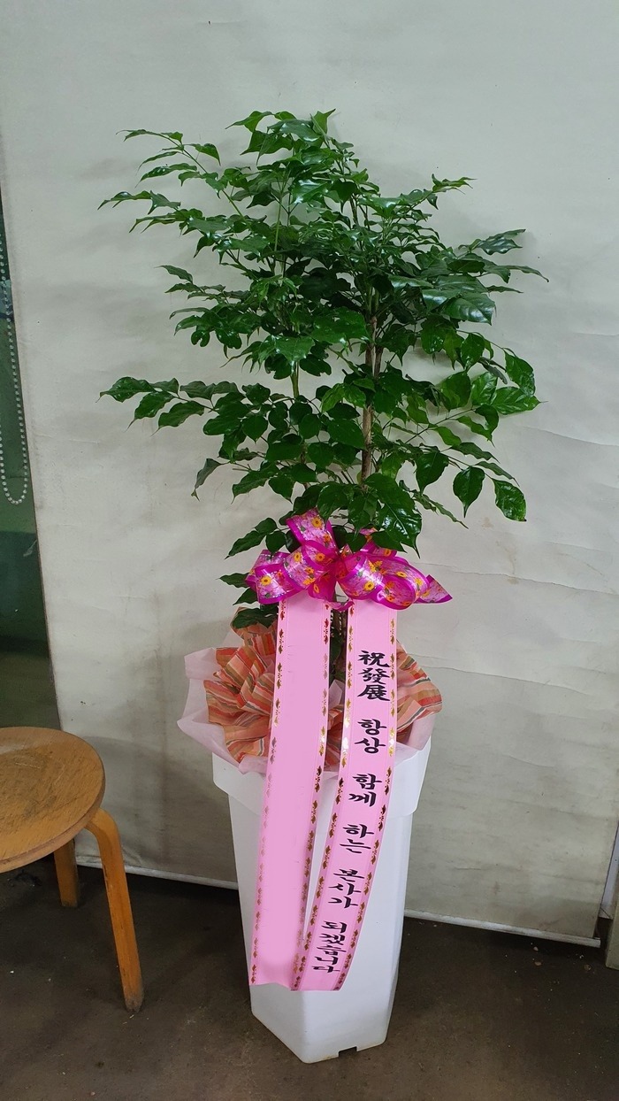 ����ȭ�� �캸��