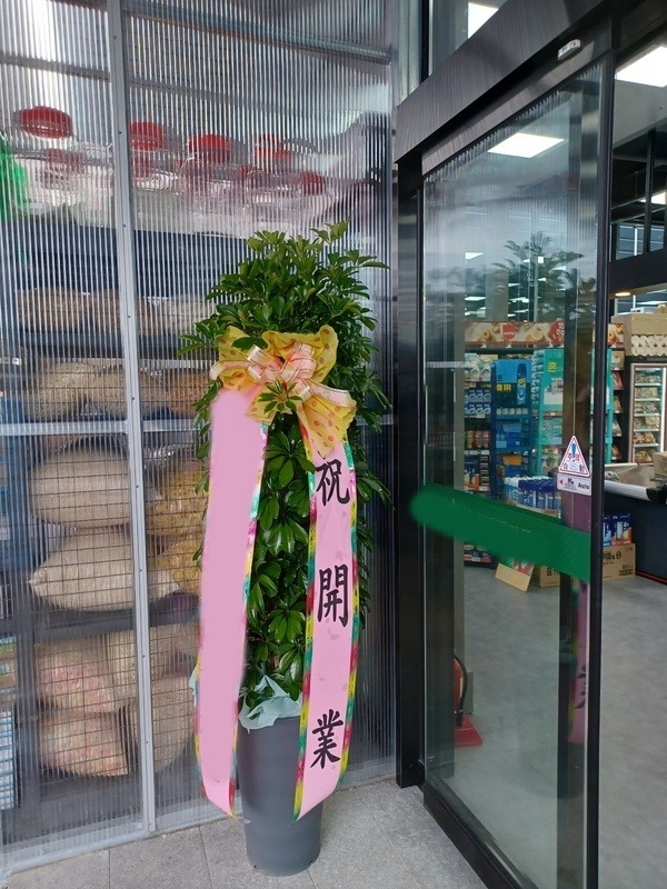 ����ȭ�� ȫ�����