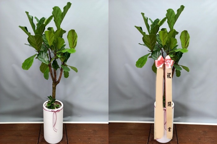 ����ȭ�� ������������