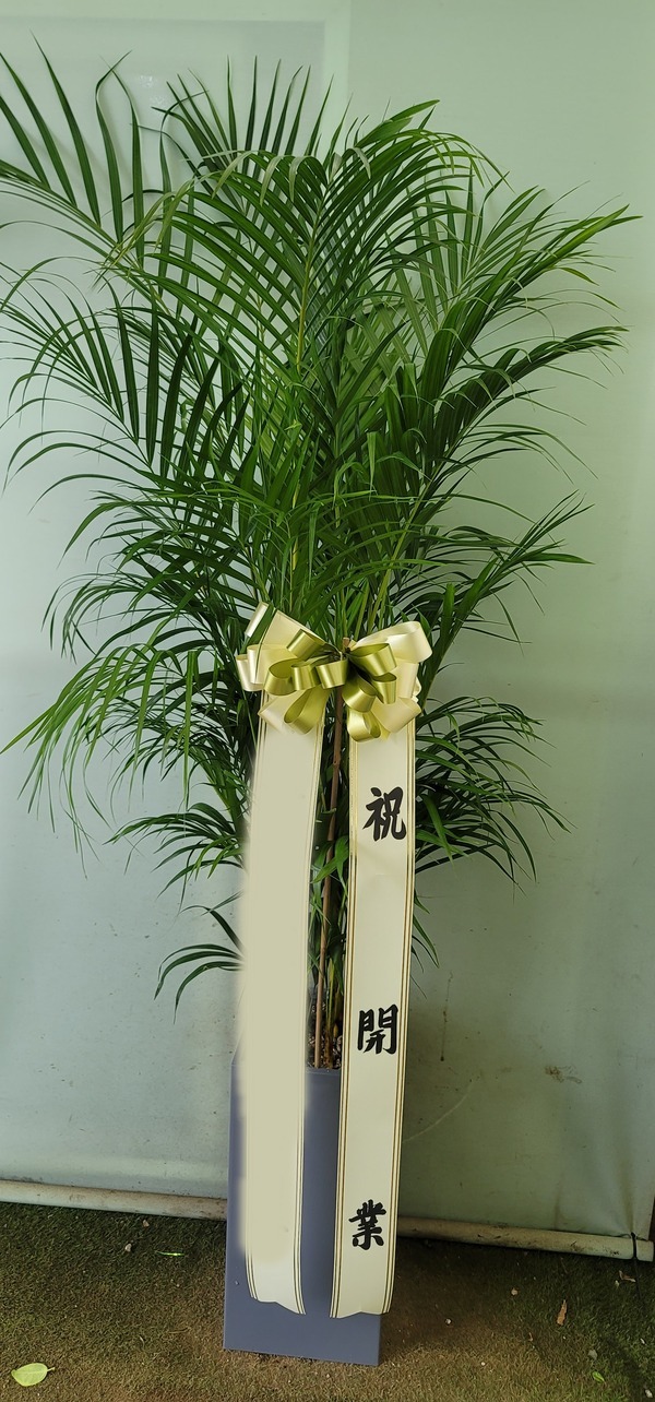 ����ȭ�� �Ʒ�ī����