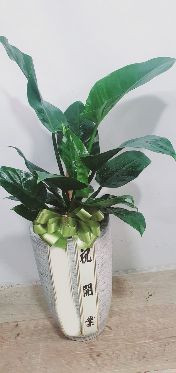 ����ȭ�� �ض���