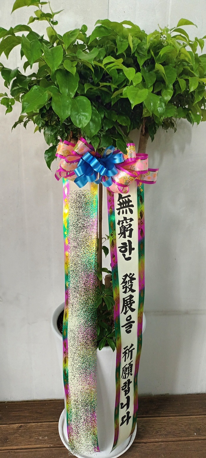 ����ȭ�� ����Ʈ��