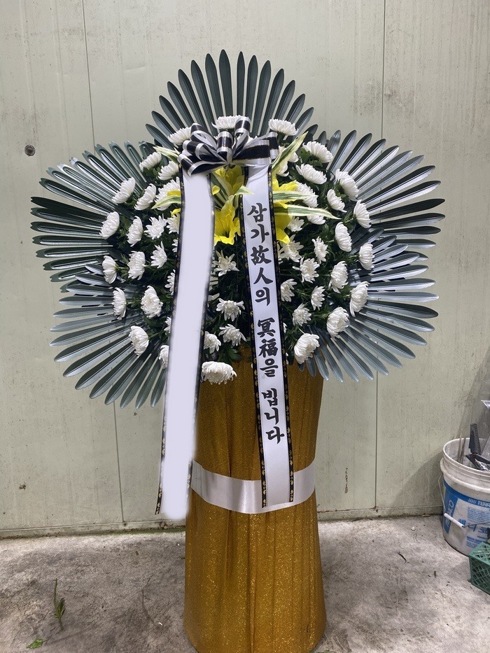 ����ȭȯ ������ȭȯ