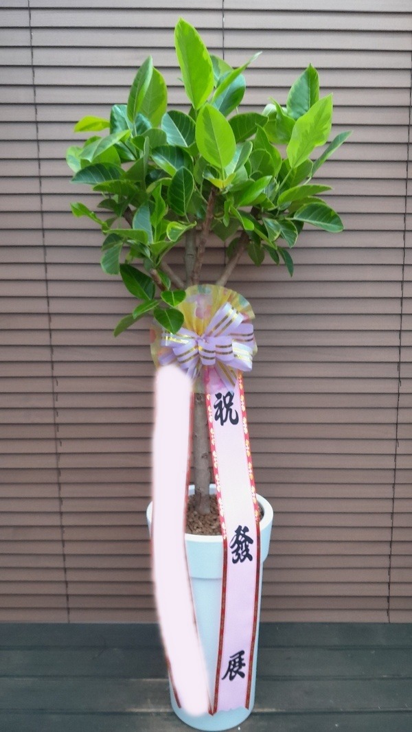 ����ȭ�� �𰥰�������