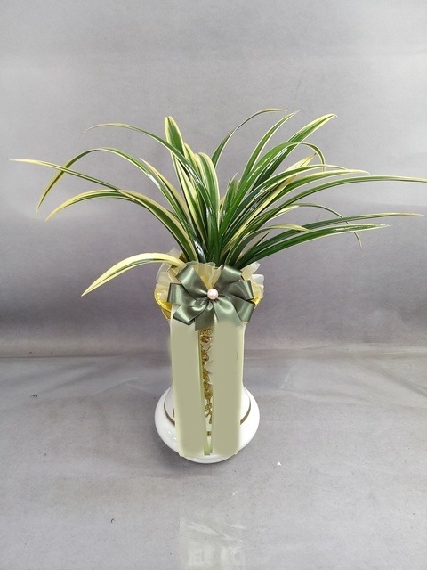 ����� Ȳ������