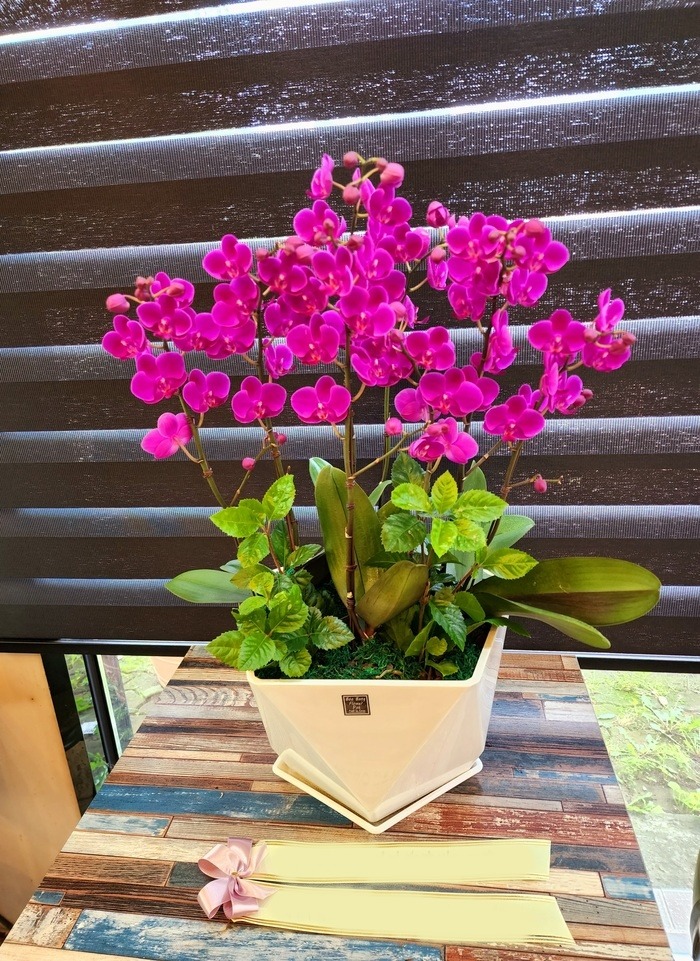 ����� ��õȫ