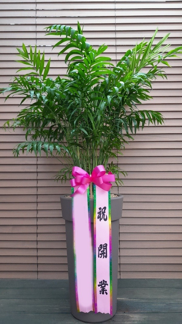 ����ȭ�� ���̺����