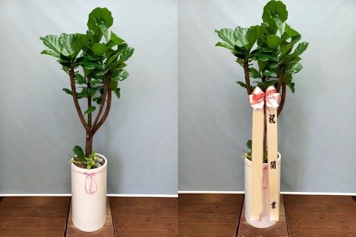 ����ȭ�� ������������