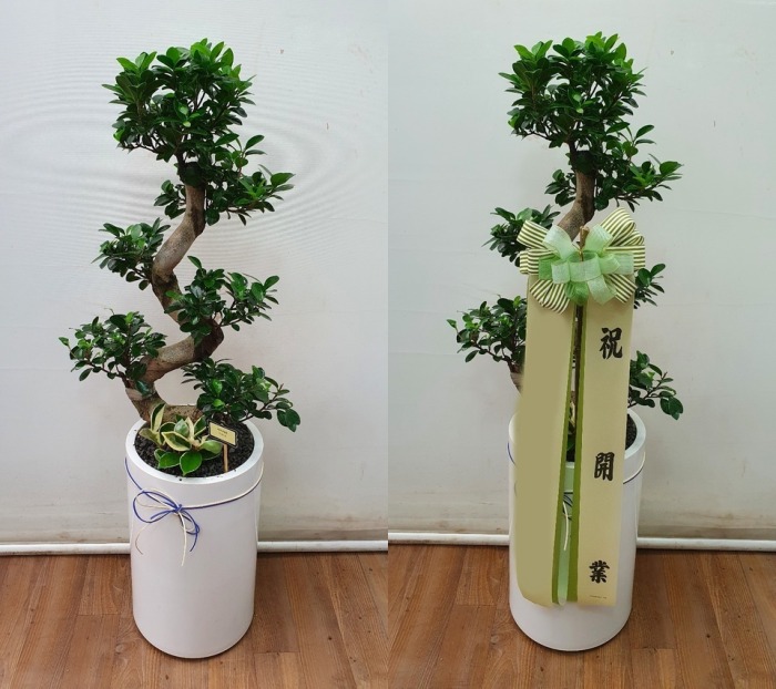 ����ȭ�� ���� �����������