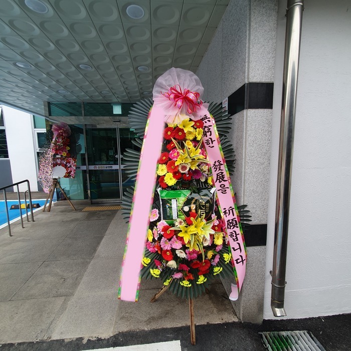 ����ȭȯ ��ȭȯ10kg