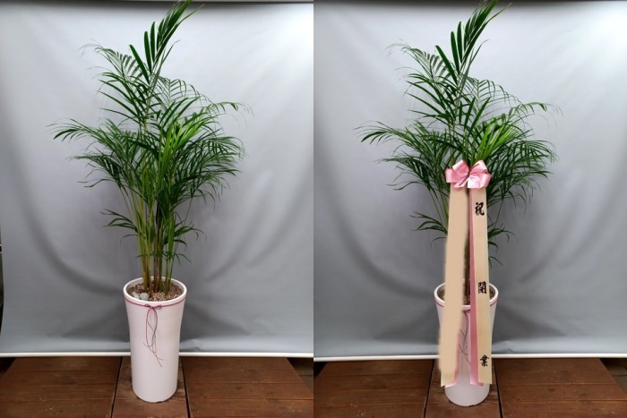 ����ȭ�� �Ʒ�ī����