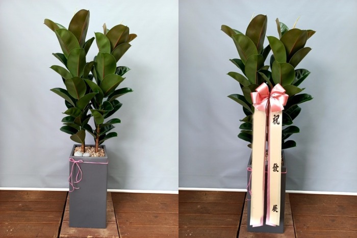 ����ȭ�� ��������