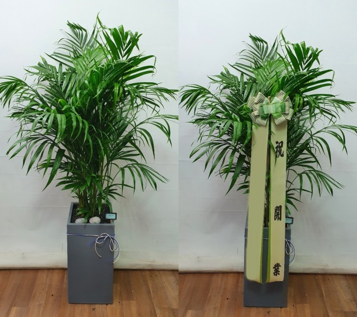 ����ȭ�� �Ʒ�ī����