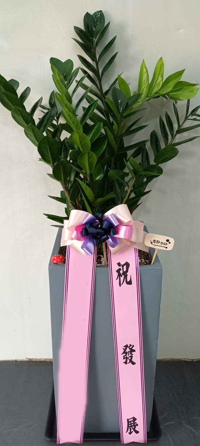 ����ȭ�� ������