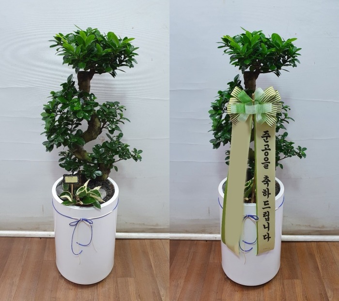 ����ȭ�� ����������� ����