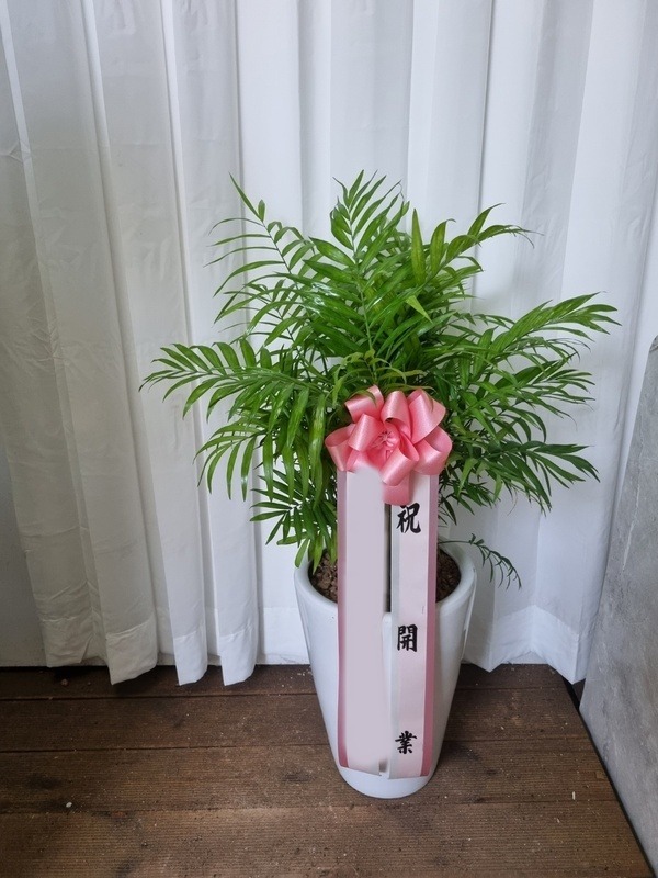 ����ȭ�� ���̺����