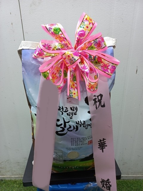 ����ȭȯ ��ȭȯ