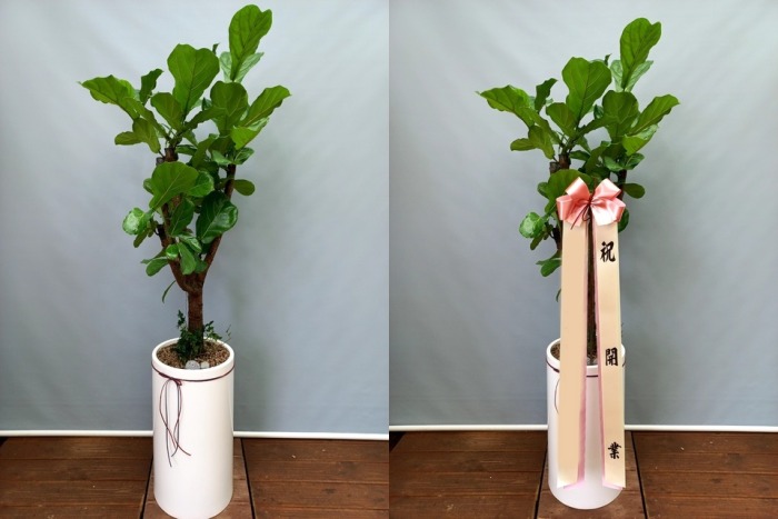 ����ȭ�� ������������