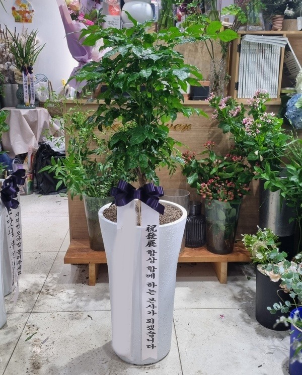 ����ȭ�� �캸��