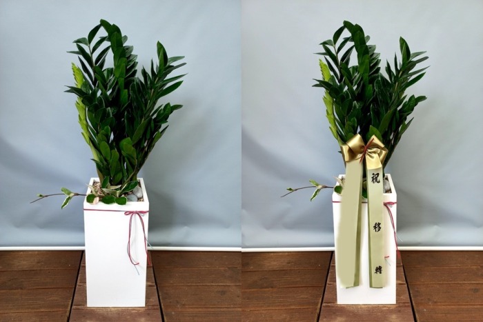 ����ȭ�� ������