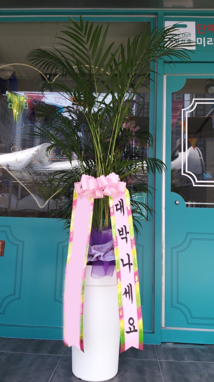 ����ȭ�� �Ʒ�ī����