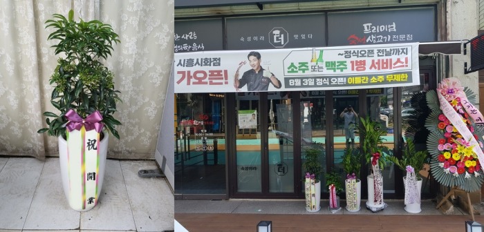 ����ȭ�� ���ɱ�