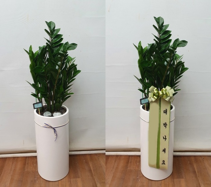 ����ȭ�� ������