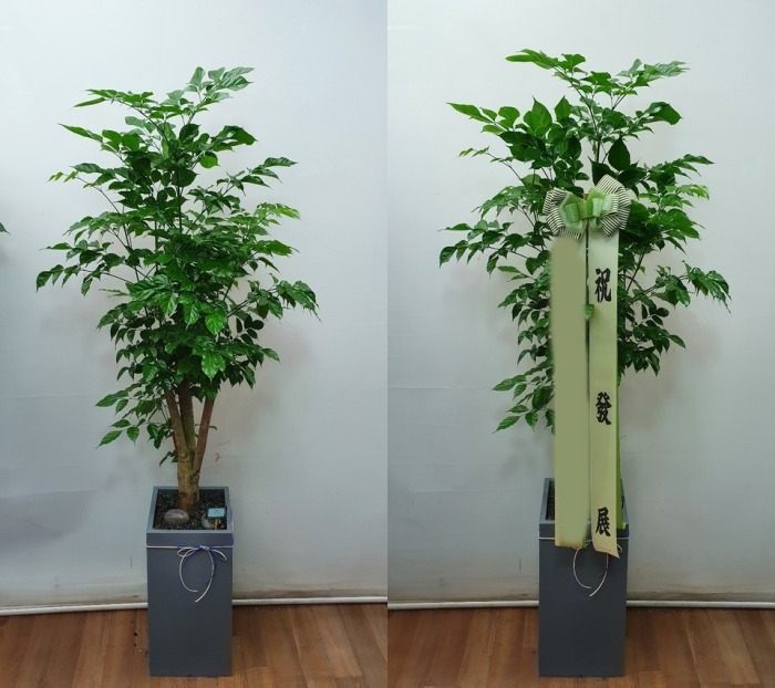 ����ȭ�� �캸��