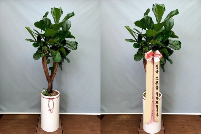 ����ȭ�� ������������