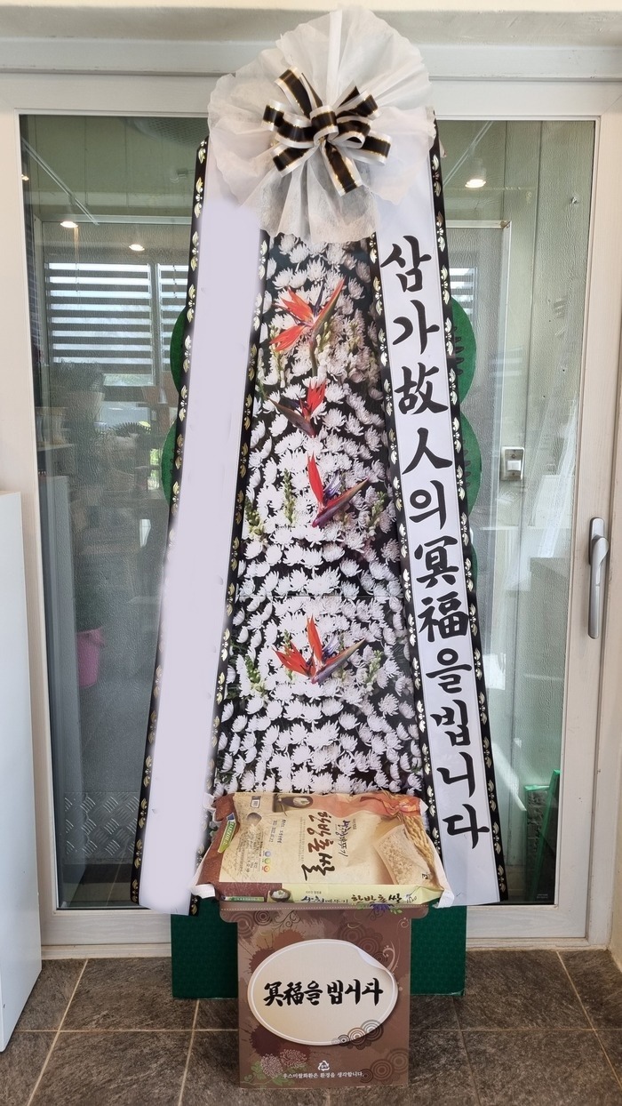 ������ȭȯ 10kg