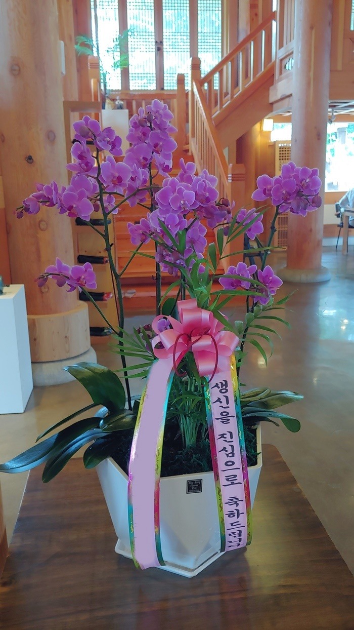 ����� �̴�ȣ��