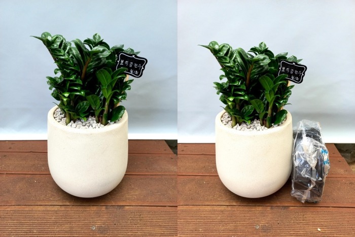 ����ȭ�� ����������