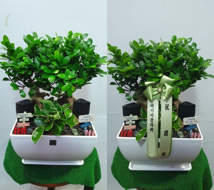 ����ȭ�� �λ���� ����