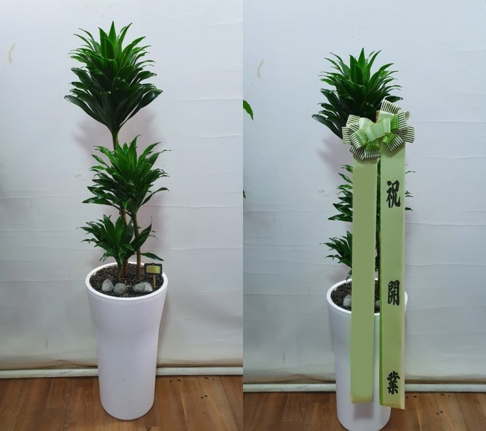 ����ȭ�� ����Ÿ