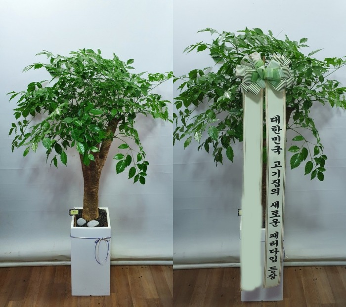 ����ȭ�� ����Ʈ��