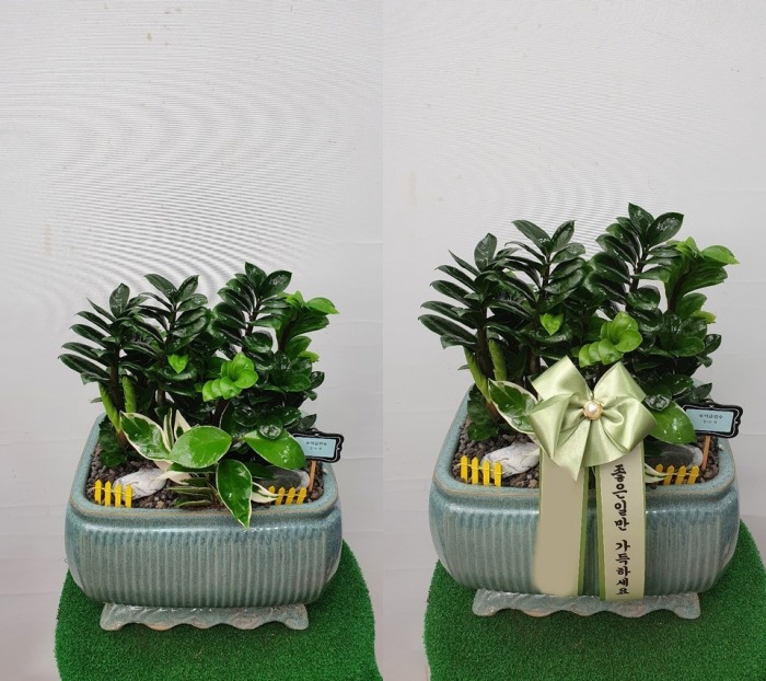 ����ȭ�� ����������