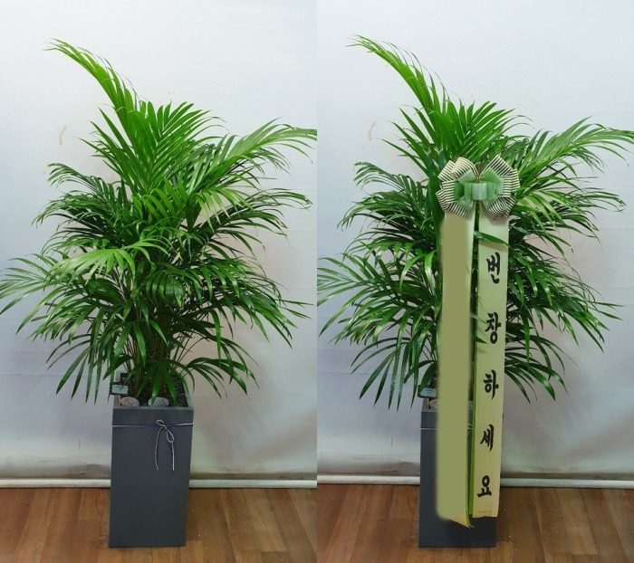 ����ȭ�� �Ʒ�ī����