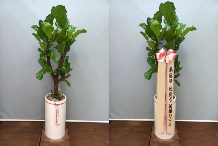 ����ȭ�� ������������