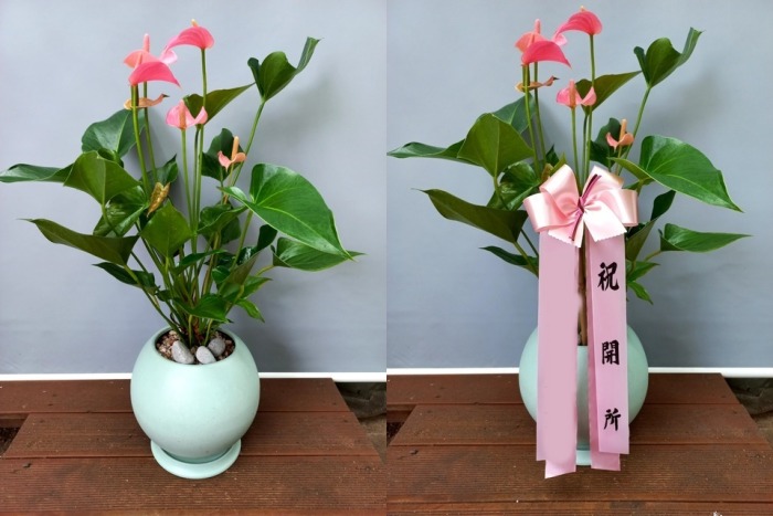 ����ȭ�� �Ƚø���