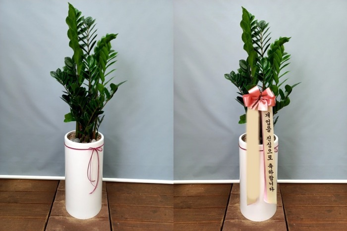 ����ȭ�� ������