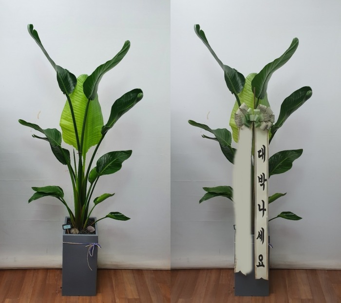 ����ȭ�� �ض���