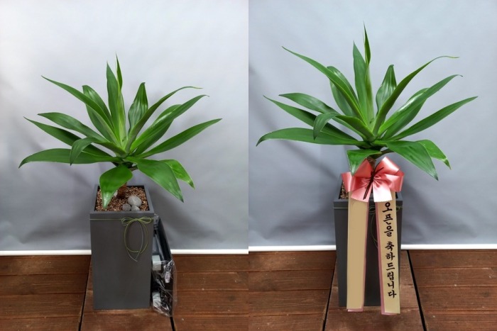 ����ȭ�� �ư������״���Ÿ