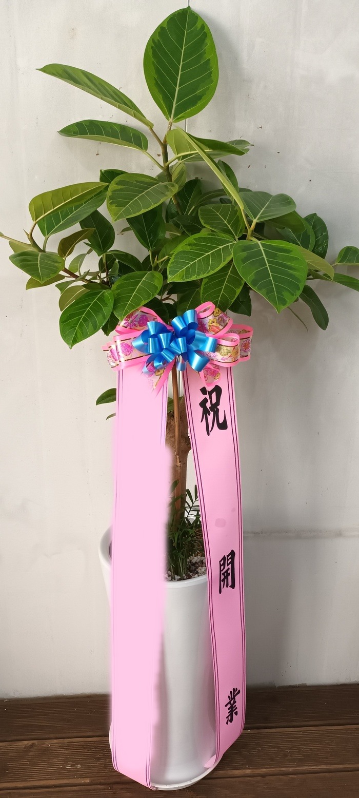 ����ȭ�� �𰥰�������