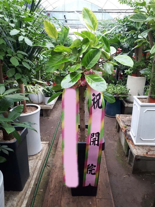 ����ȭ�� �𰥰�������