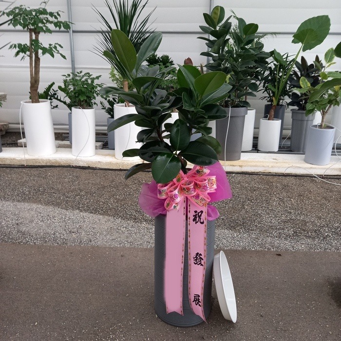 ����ȭ�� ��������