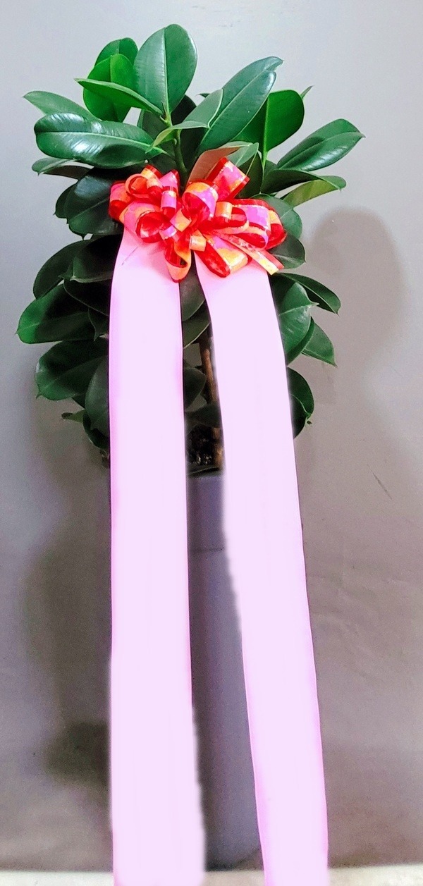 ����ȭ�� ��������