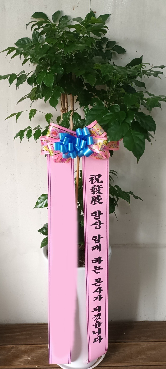 ����ȭ�� �캸��